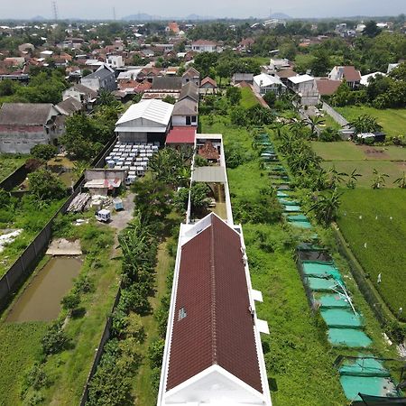 Villa Rumah Putih Jogja ジョグジャカルタ エクステリア 写真