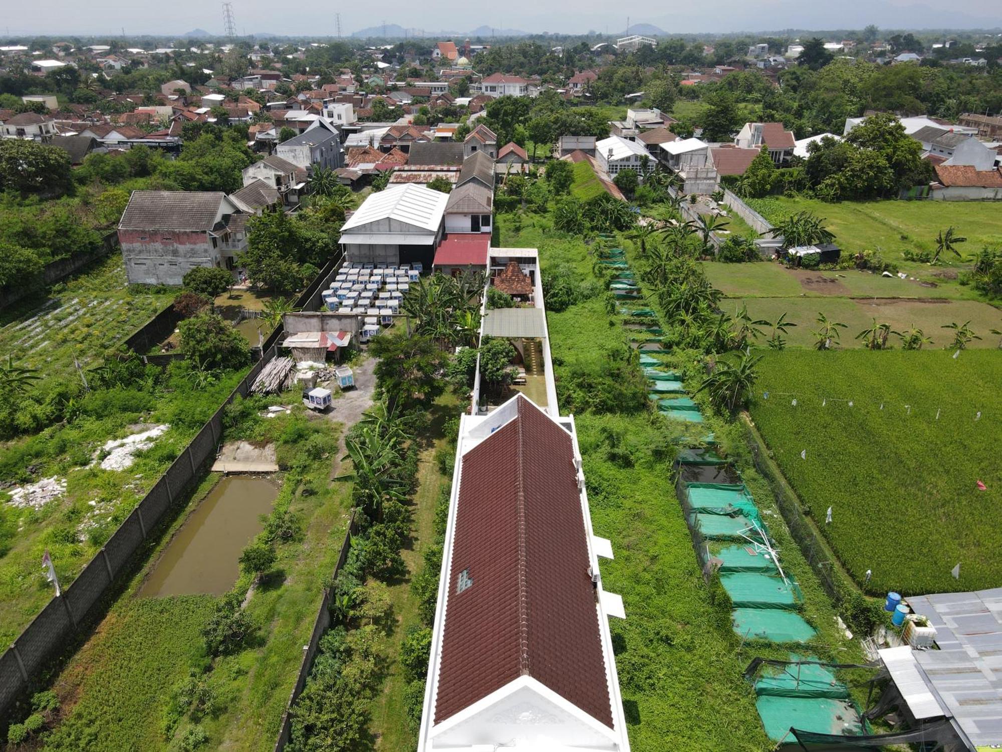 Villa Rumah Putih Jogja ジョグジャカルタ エクステリア 写真